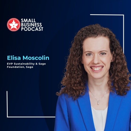 SMEs Have Sustainability Ambitions But Can’t Access the Capital to Achieve them!